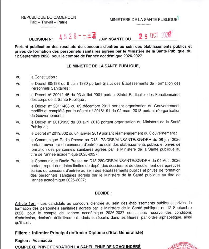 Aperçu de la décision MINSANTE N° 4529 : Infirmier Principal (Infirmier Diplômé d'État Généraliste)